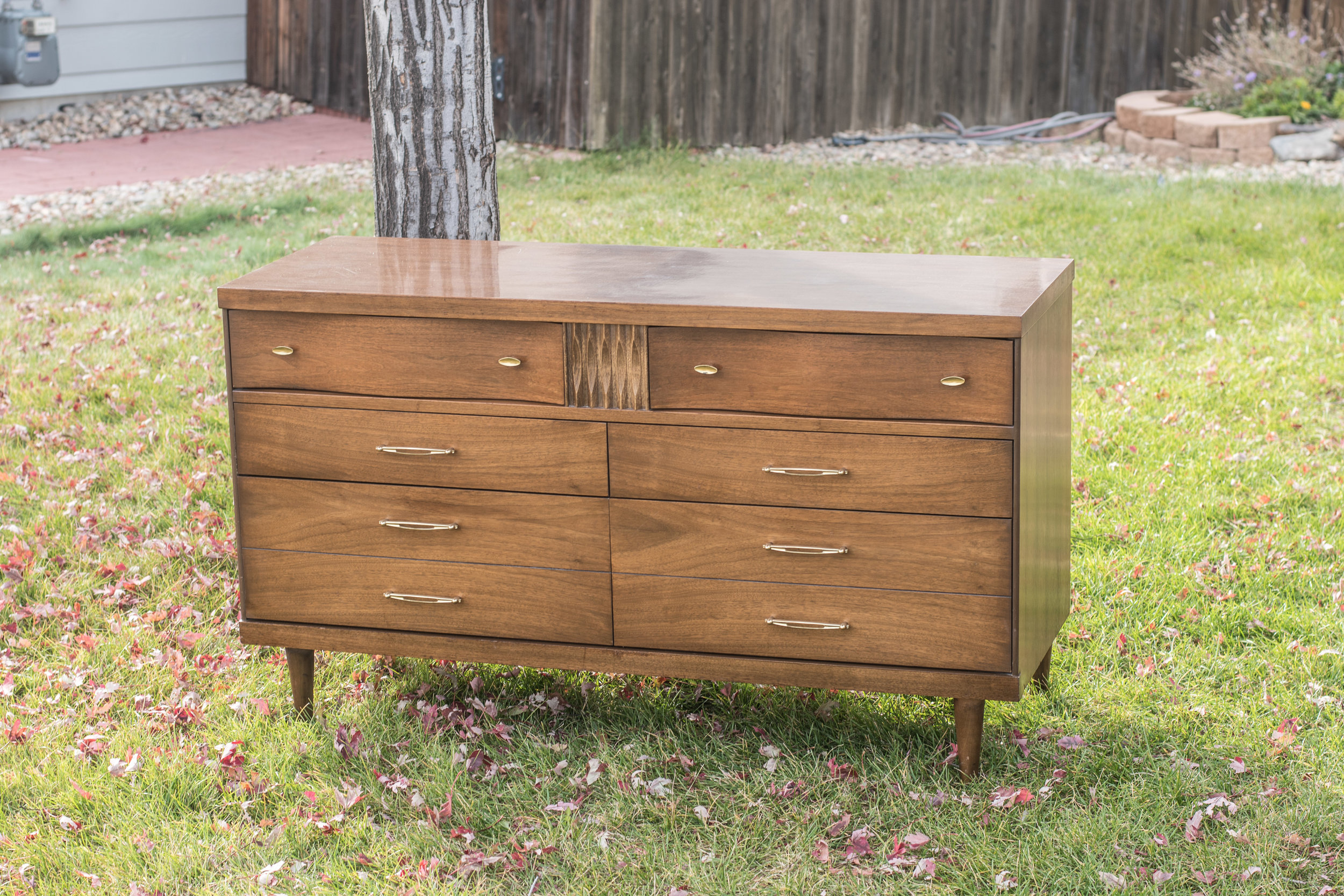 Basset-Dresser-0628.jpg