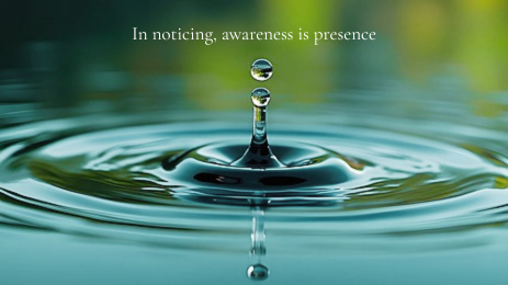 An Evening with Shmaya - In noticing, awareness is presence