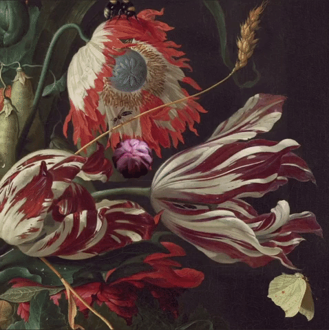 "All words are like this, surely" - on Miranda Popkey's Topics of Conversation