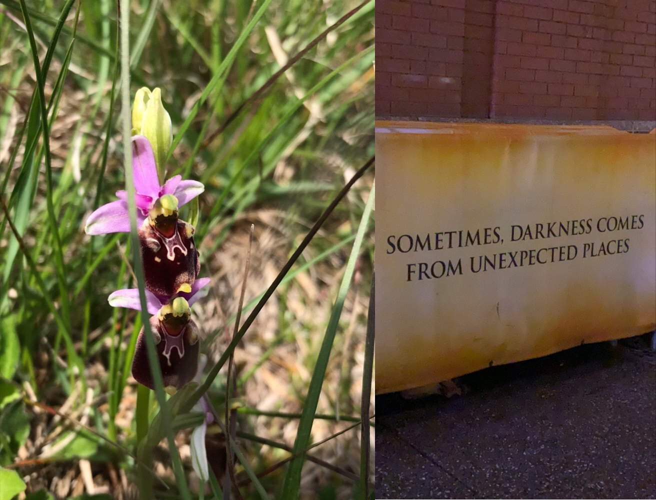 Lakewood: An Excerpt