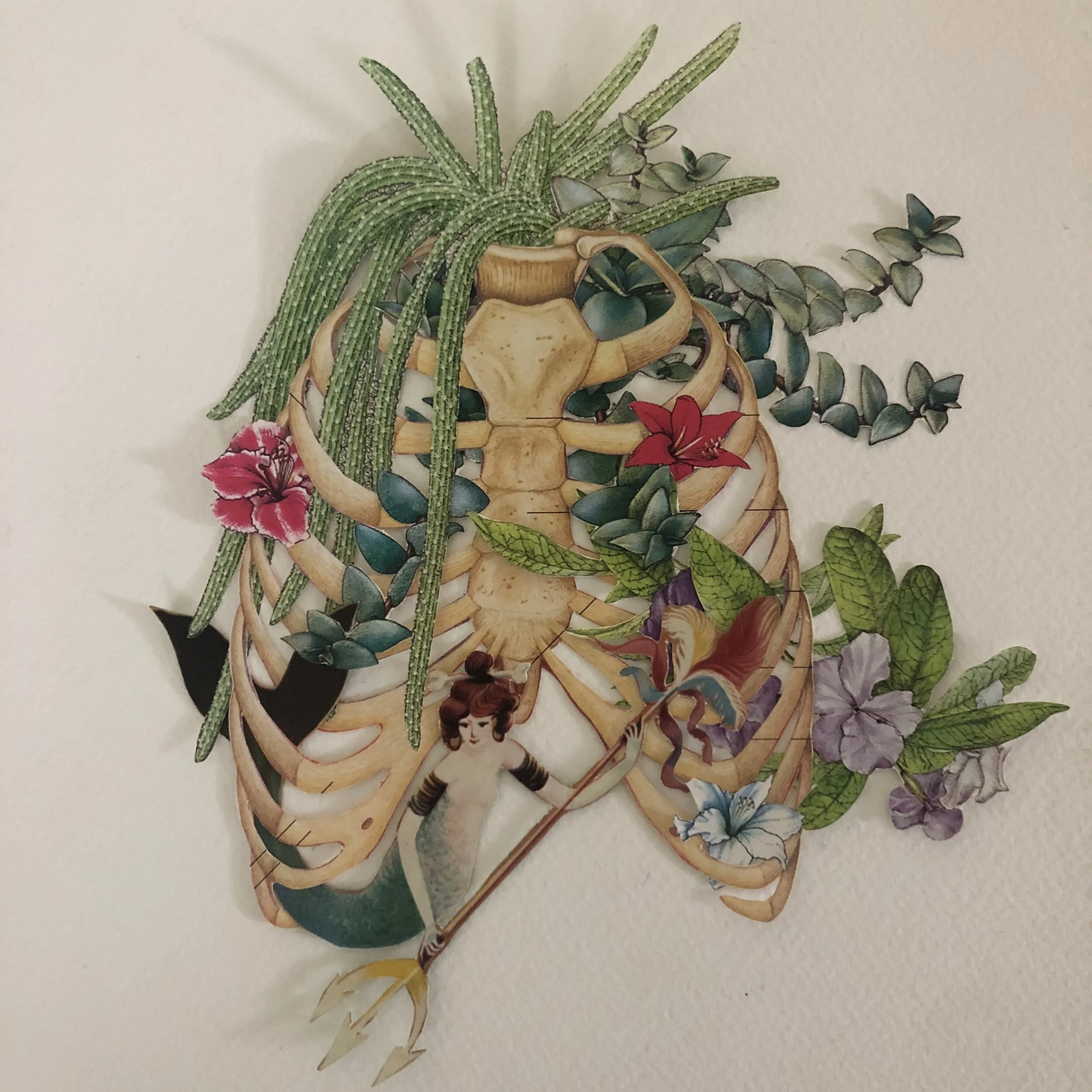 Your Family Vernacular: Alex Higley talks to Kathryn Scanlan