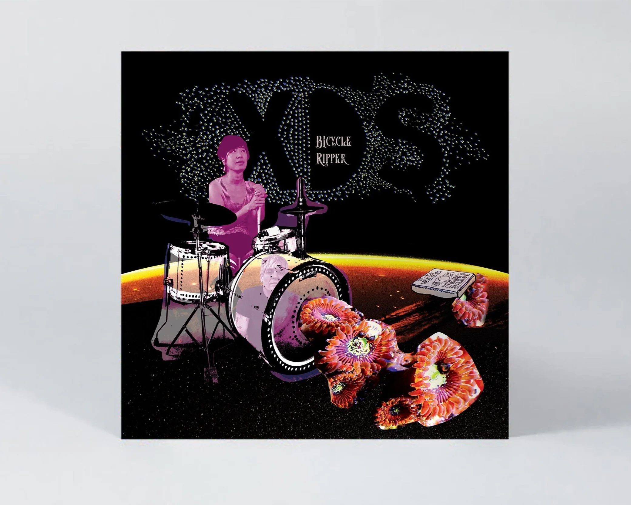 XDS