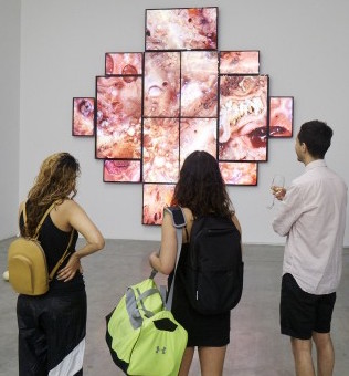 Image courtesy dismagazine (provided for scale)