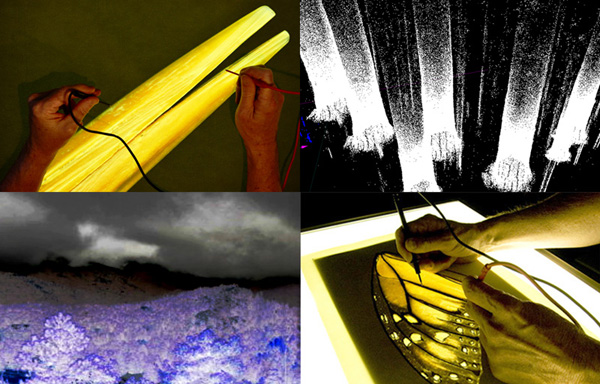 image from http://tweaver.biotica.org/acc.html