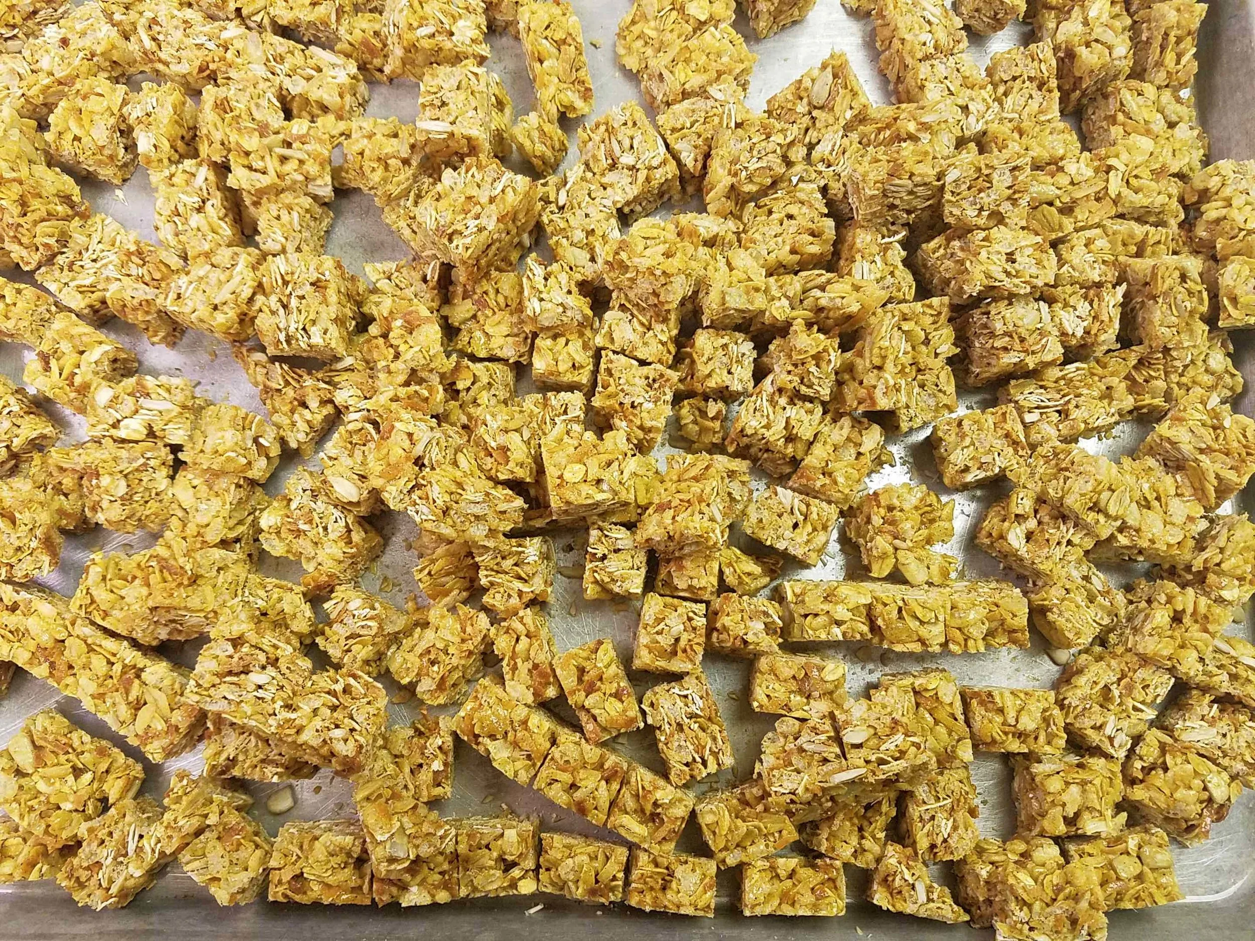 OAT-EEZ