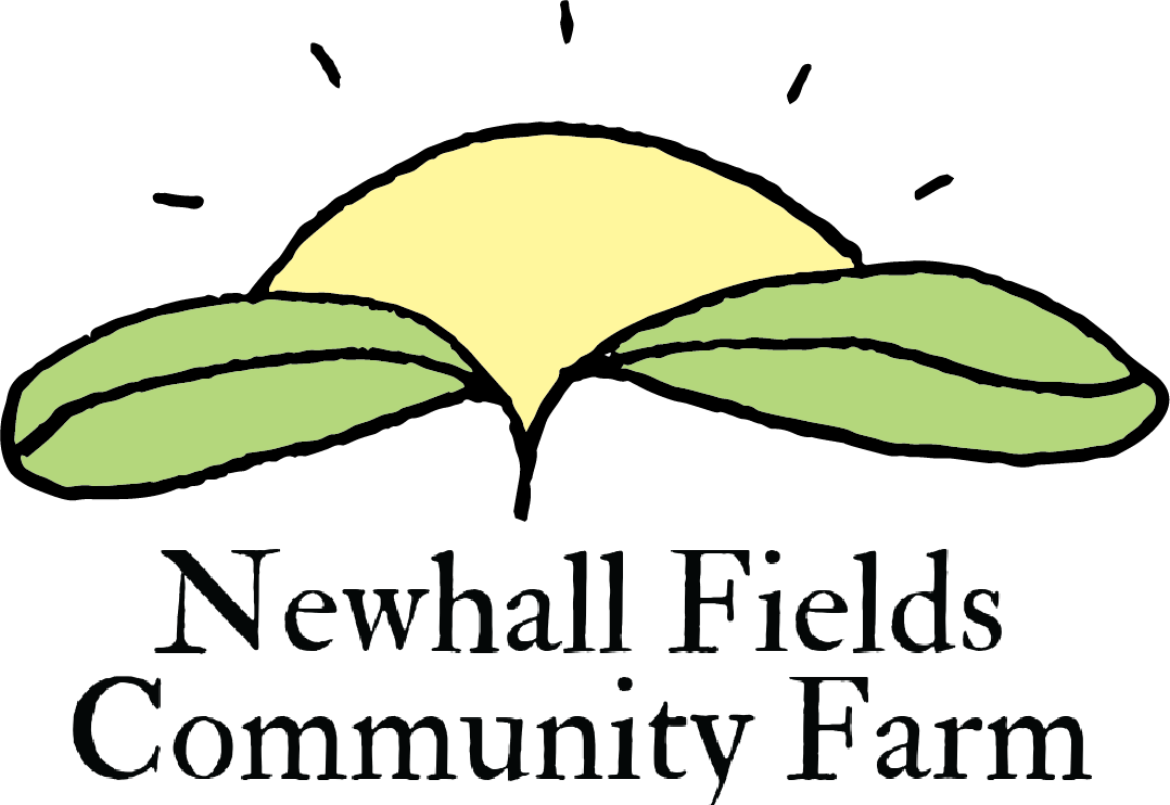 NFCF logo.png