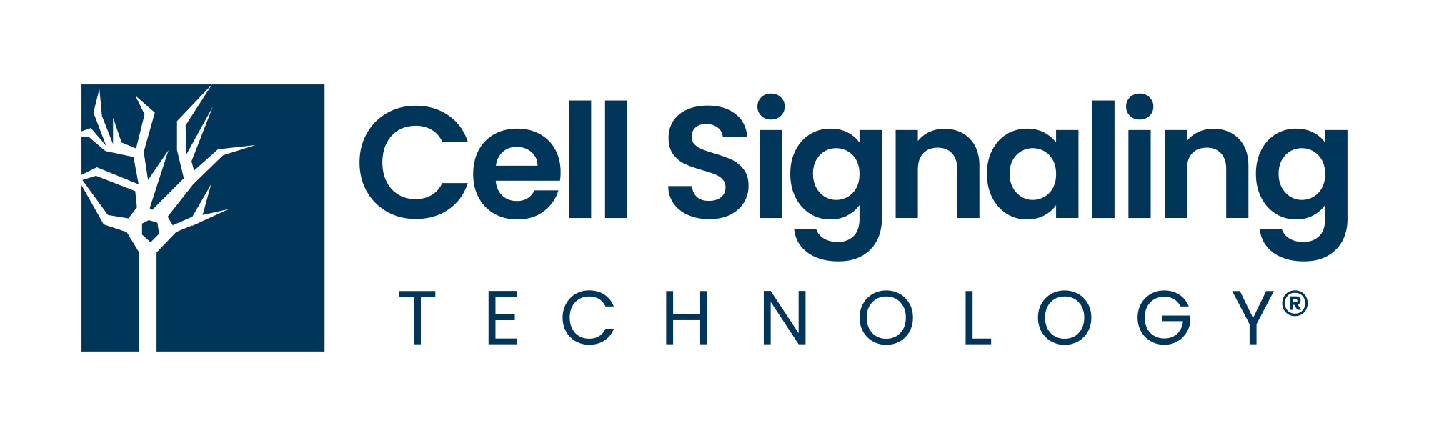 CST Logo Blue RGB.png