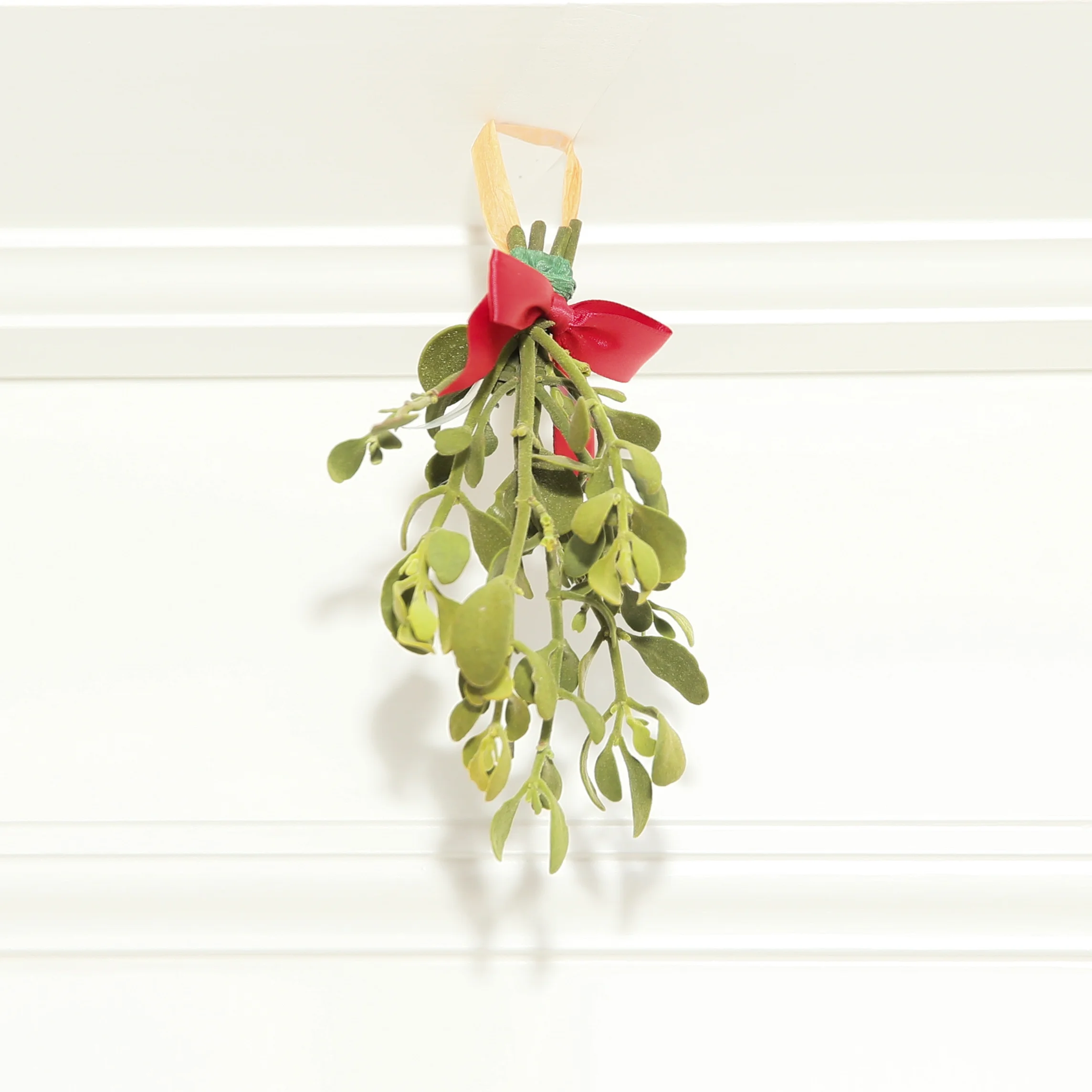 Mistletoe. Photo credit: Noa Griffel for BFA