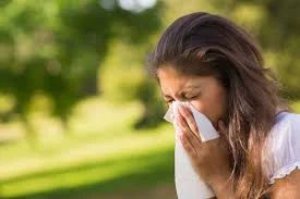 allergy.jpg