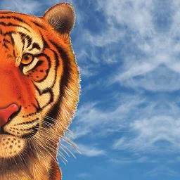 0f4d1caf4c67ea2cca91eee8743bff87.jfif