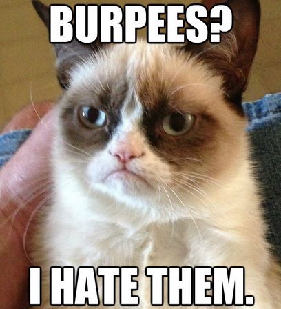 grumpy-cat-hates-burpees.jpg