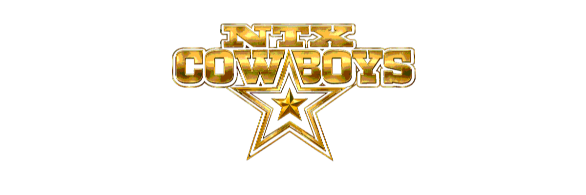 NTX logo banner transparent with glow.png