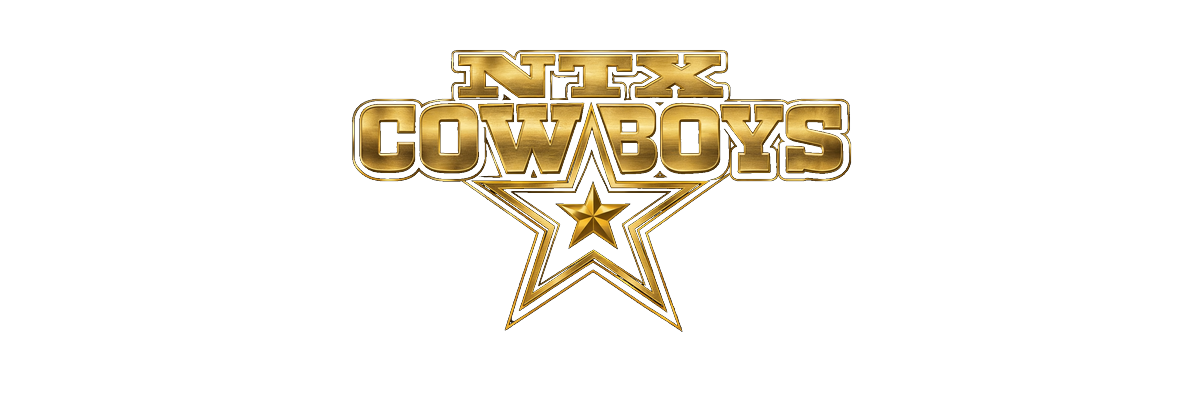 NTX logo banner transparent with glow.png