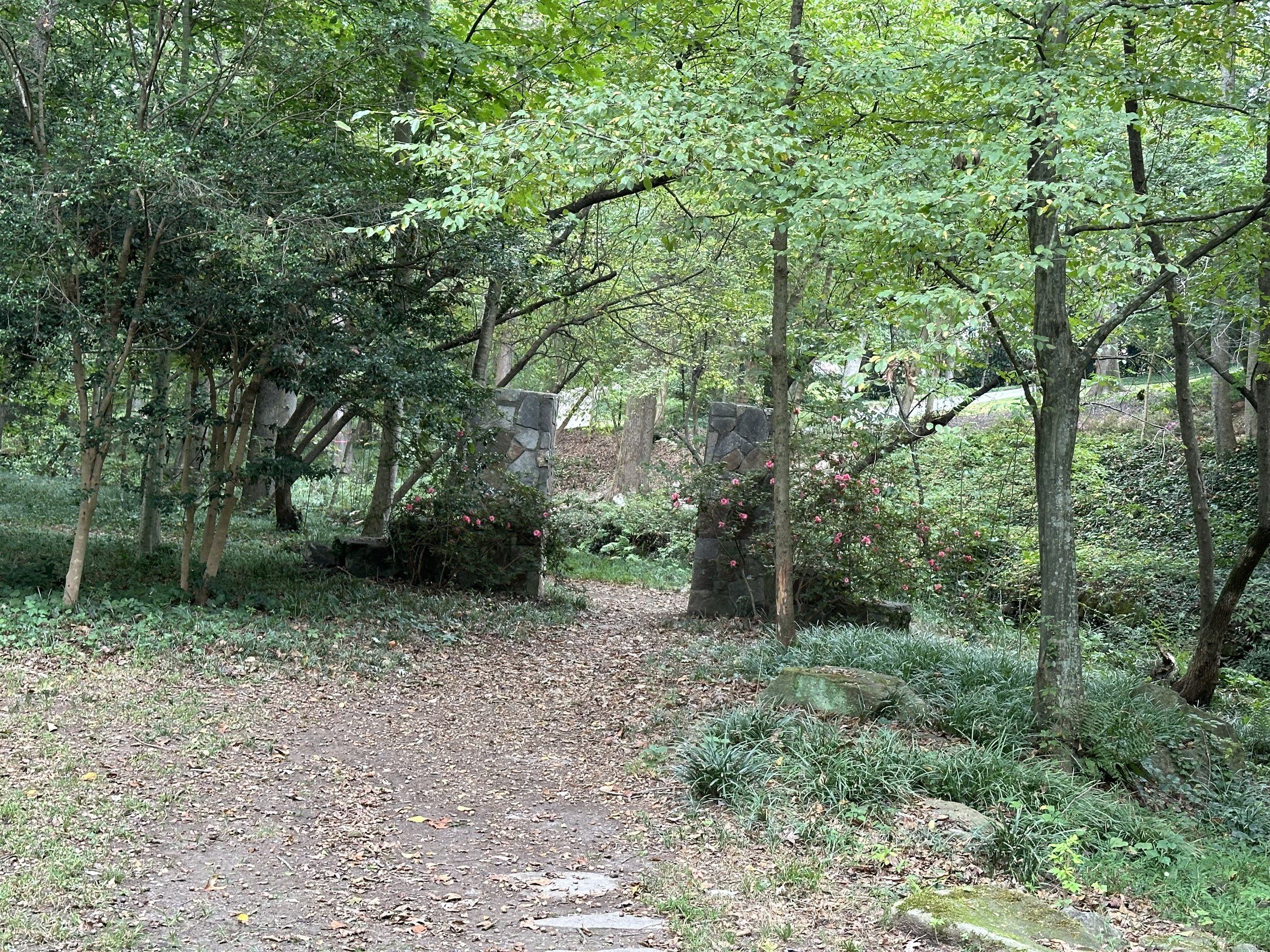 Beautiful Gate in the Garden.jpg