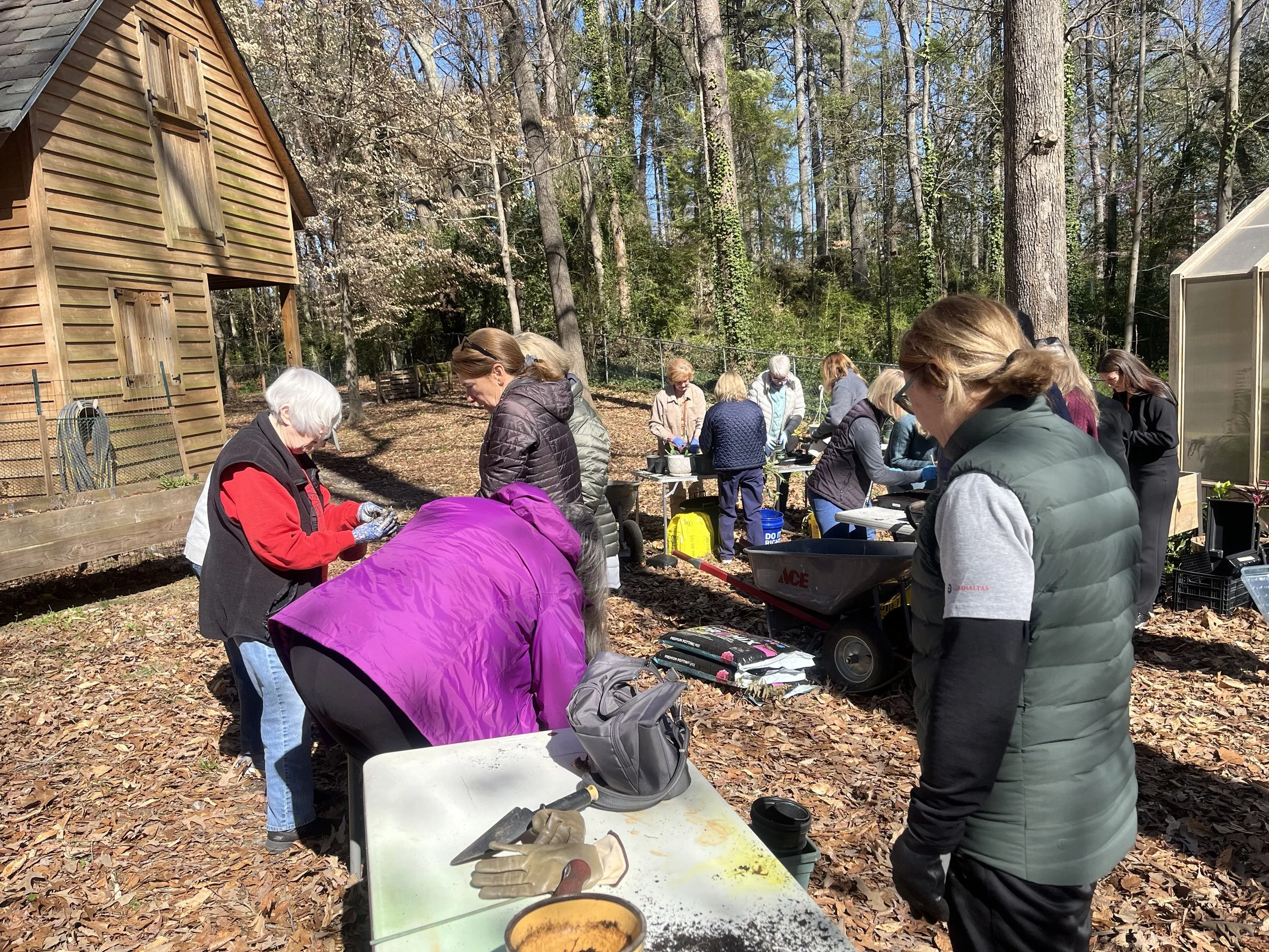 planting seedlings for our annual plant sale in May