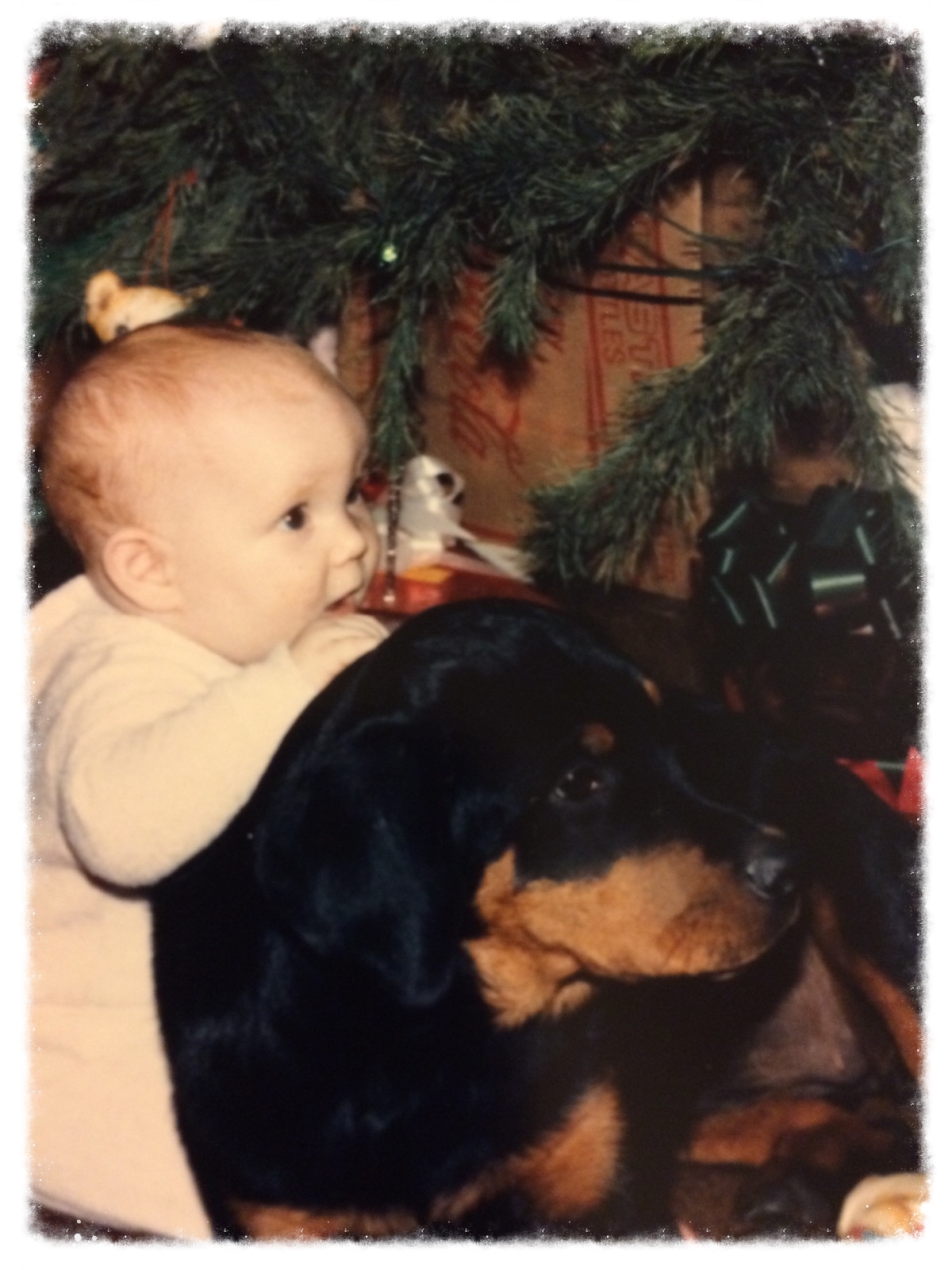 Child With Rottweiler