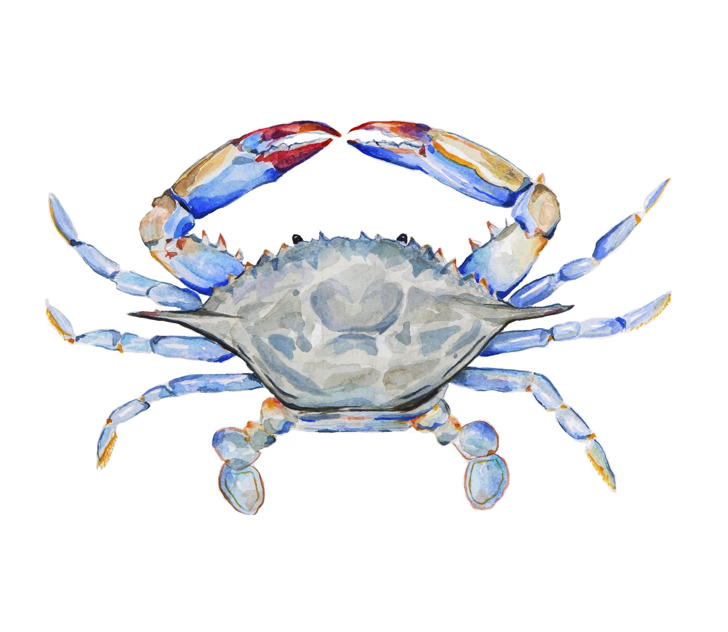 Crab Updated.jpg