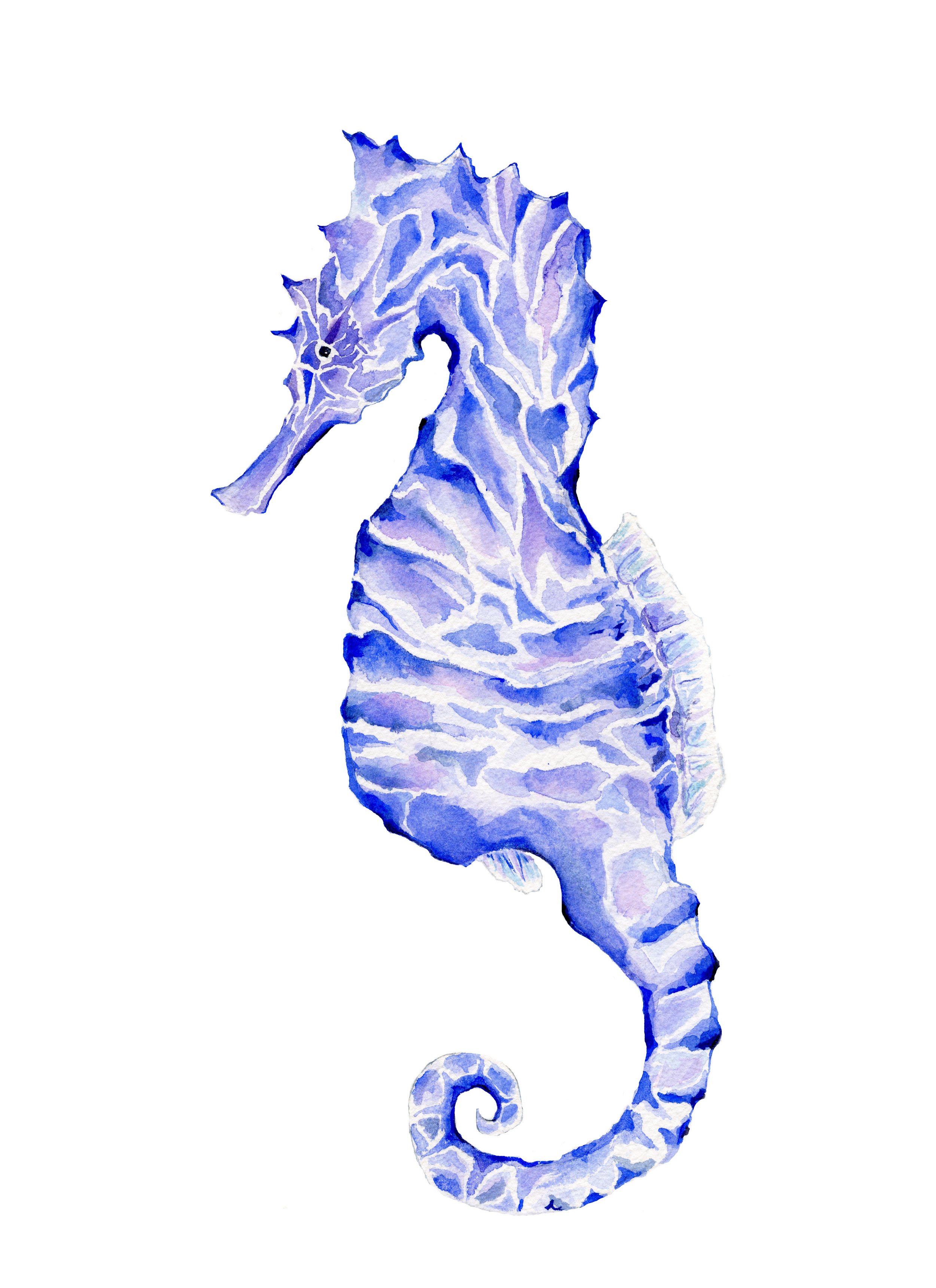 Seahorse.jpg