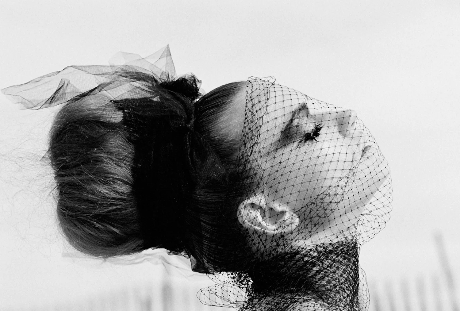 westlake_blackswan_imagista_02.jpg