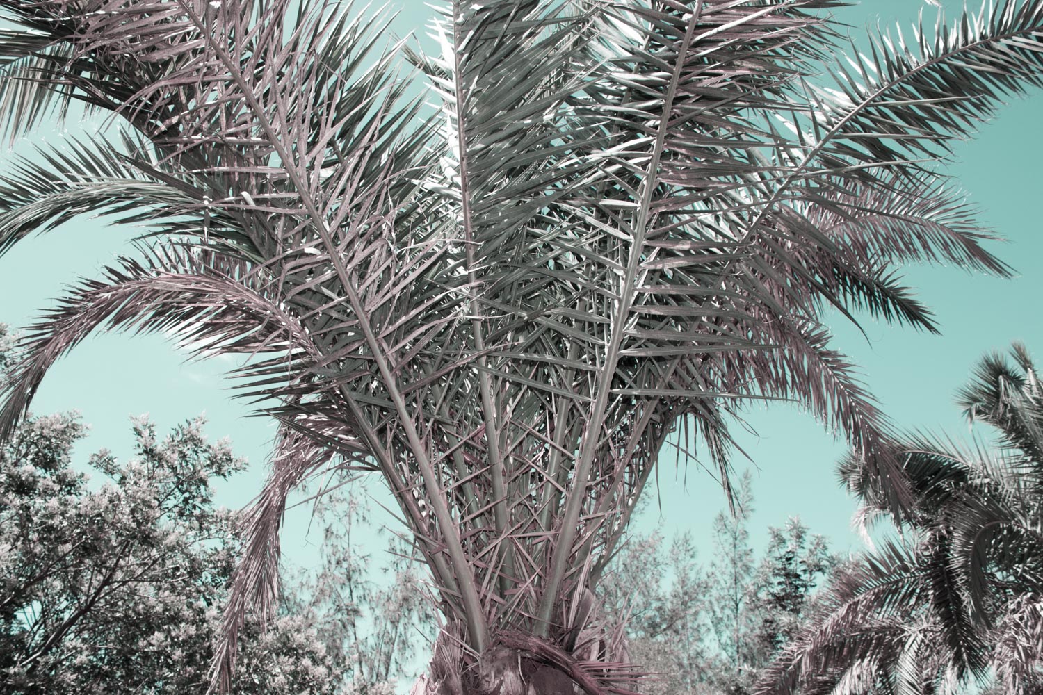 THE MASPALOMAS PROJECT_13.jpg