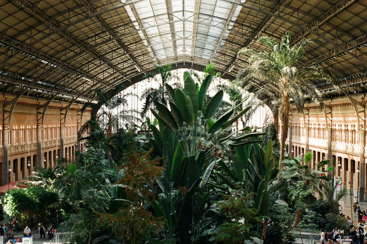 35mm-2.jpg