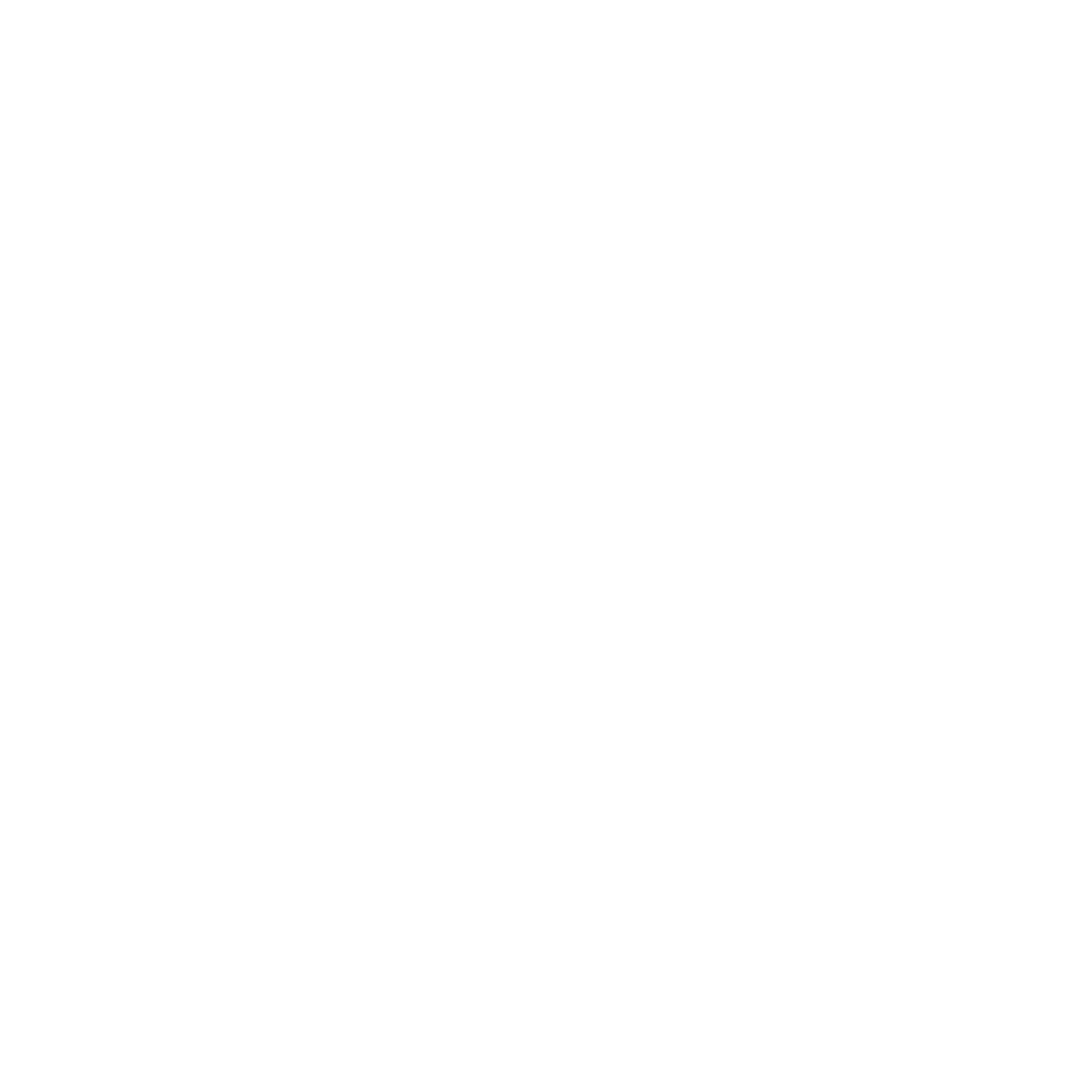 DP Logo WHITE.png