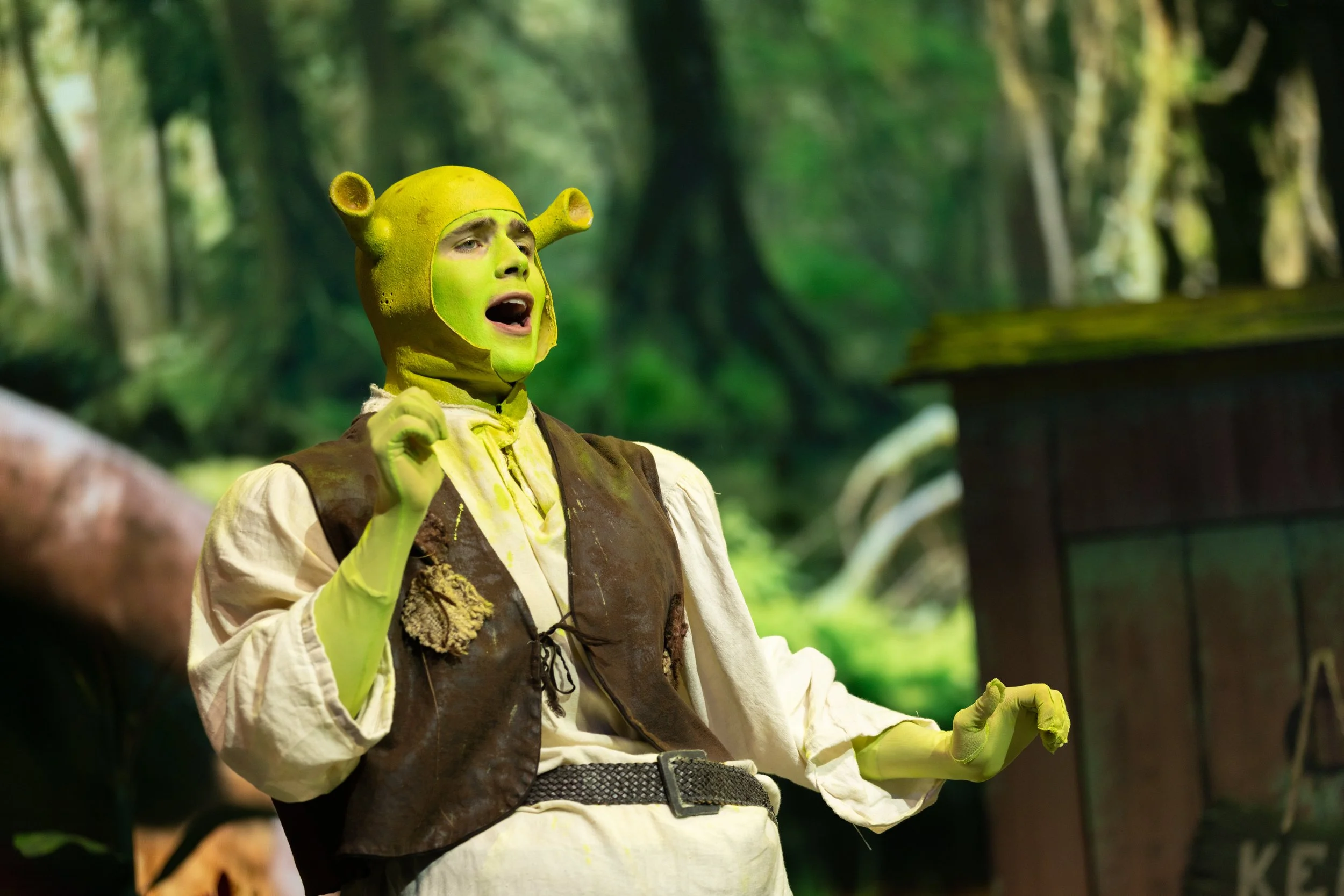 Shrek_MSMT_2026-17.jpg