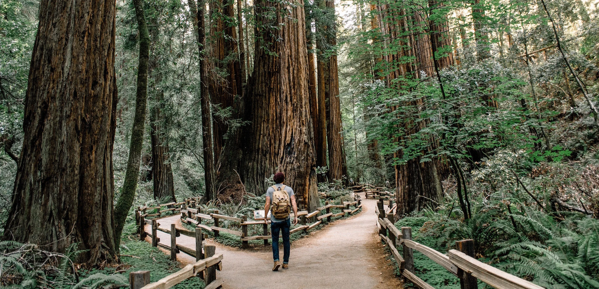 THEME: CLUELESS (SOLD OUT)