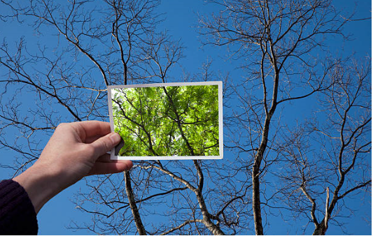 Theme: Change (Sold Out!)