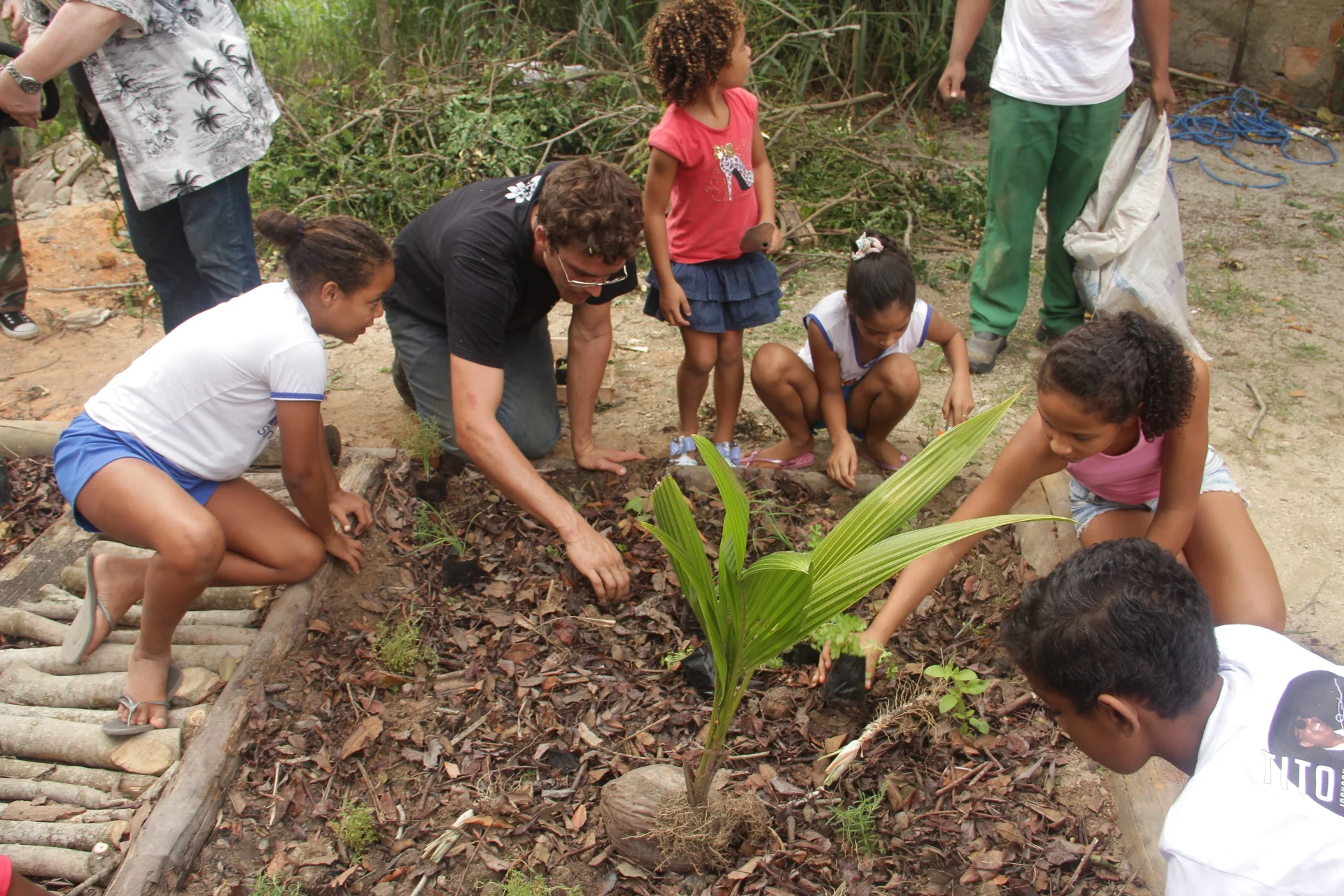 Plantio realizado em uma escola municipal em Cabrália - Bahia