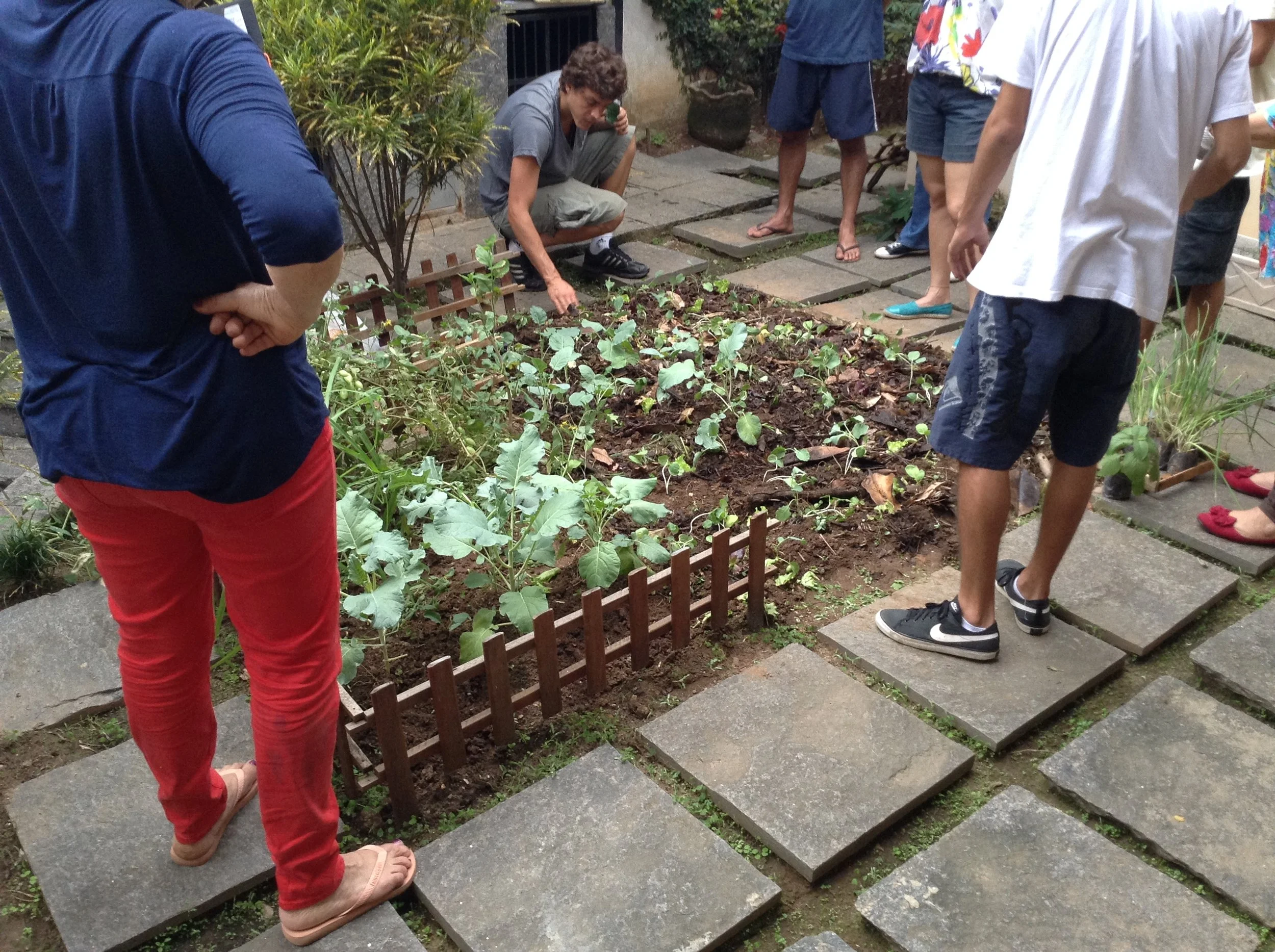 Curso de Hortas Urbanas