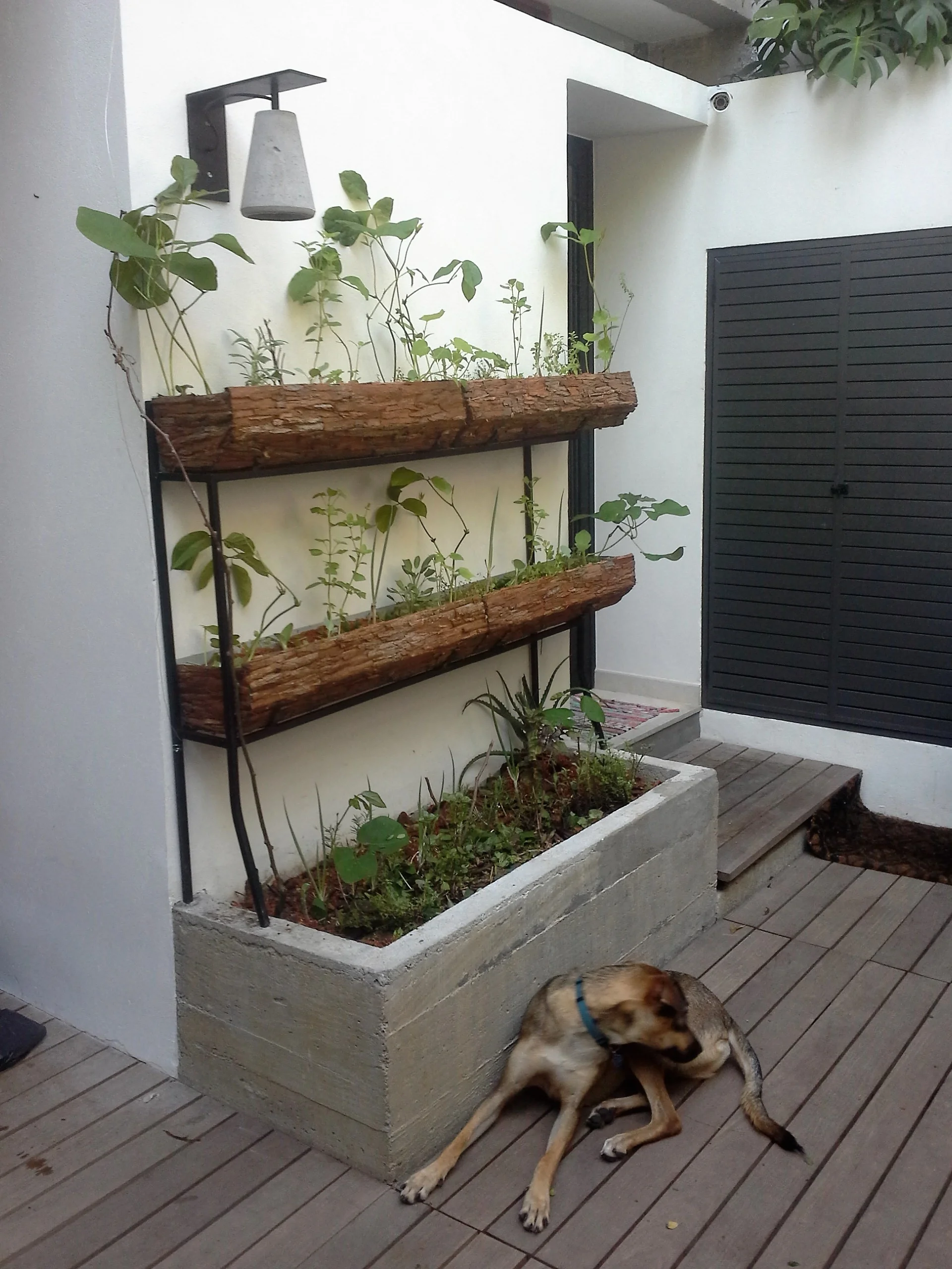 Horta vertical em casa