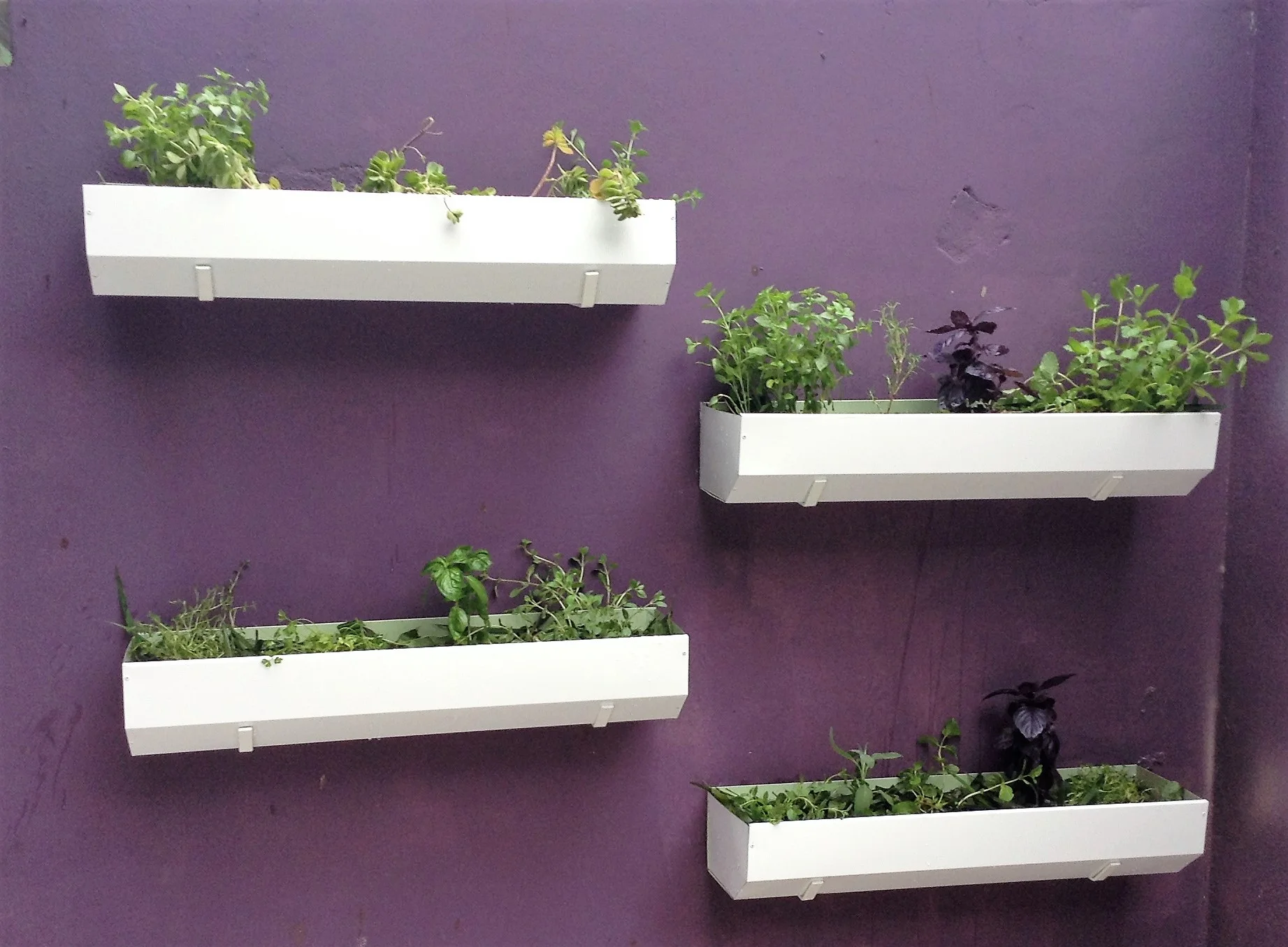 Horta vertical em calhas