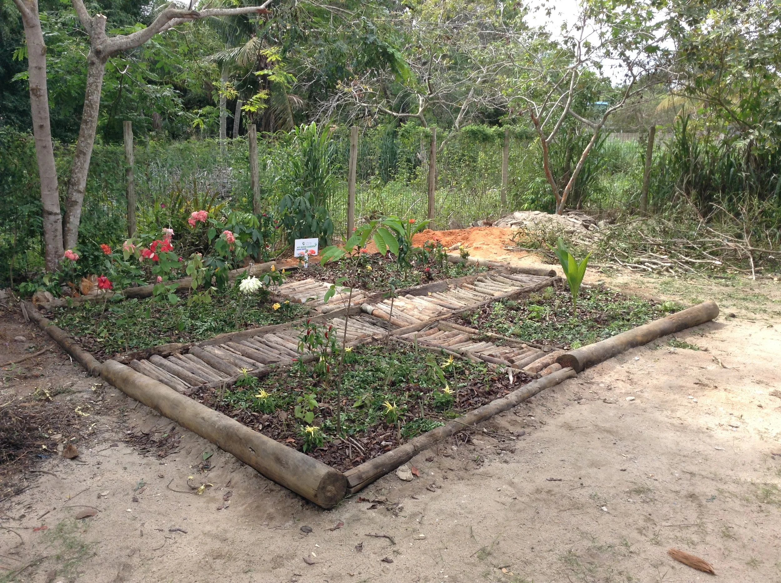 Horta feita em uma escola em Cabrália - Bahia