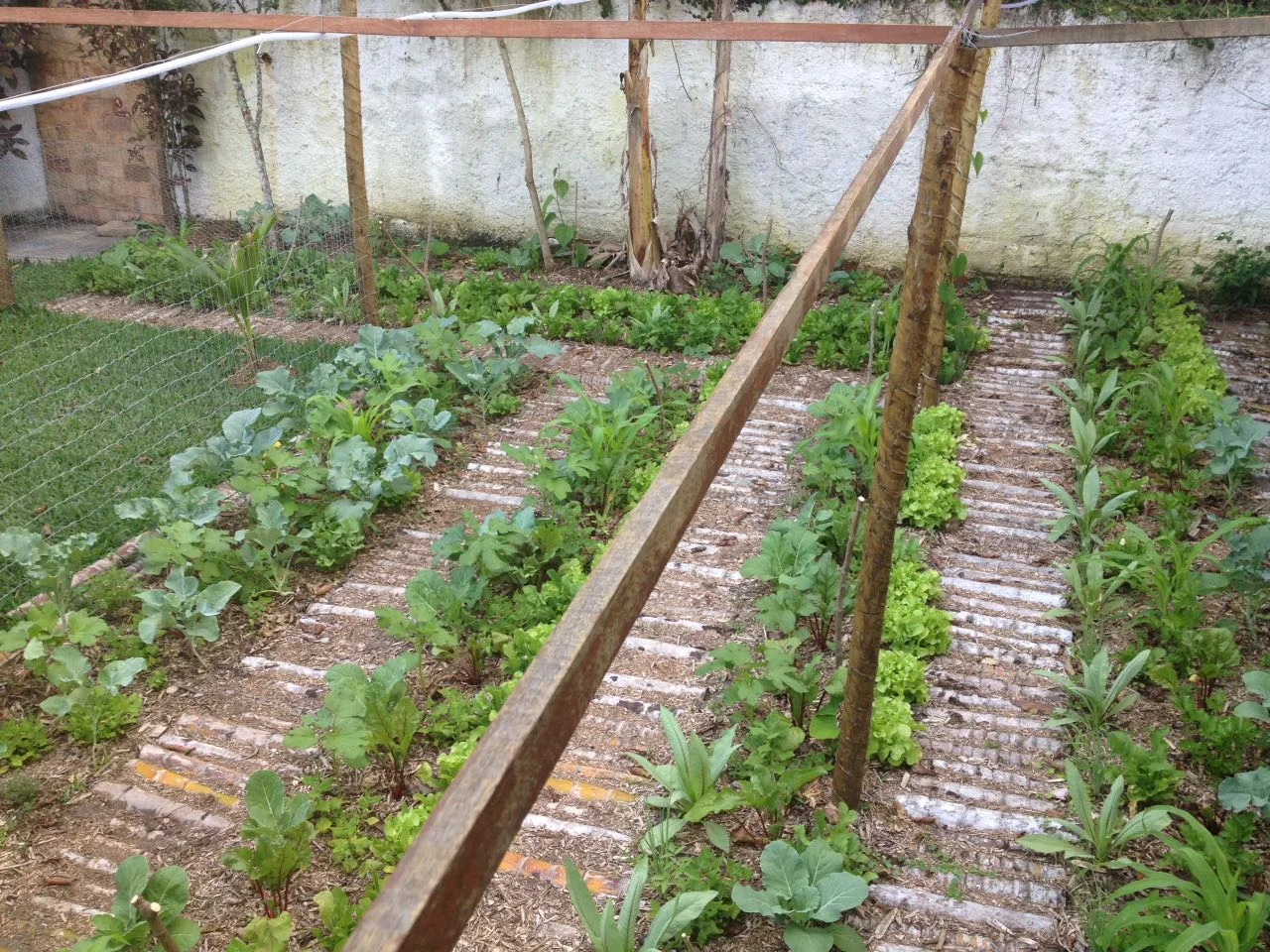Horta agrolorestal em uma casa em NIterói