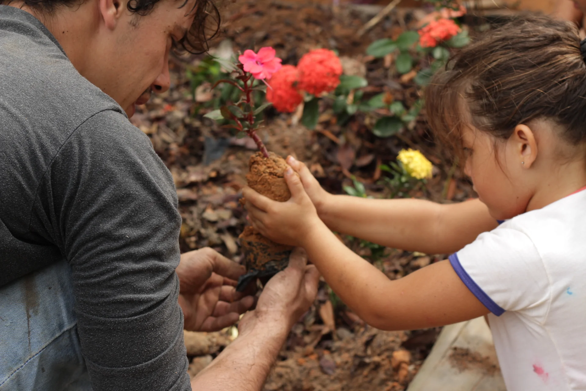 Plantio em uma escola de Santa André - Bahia