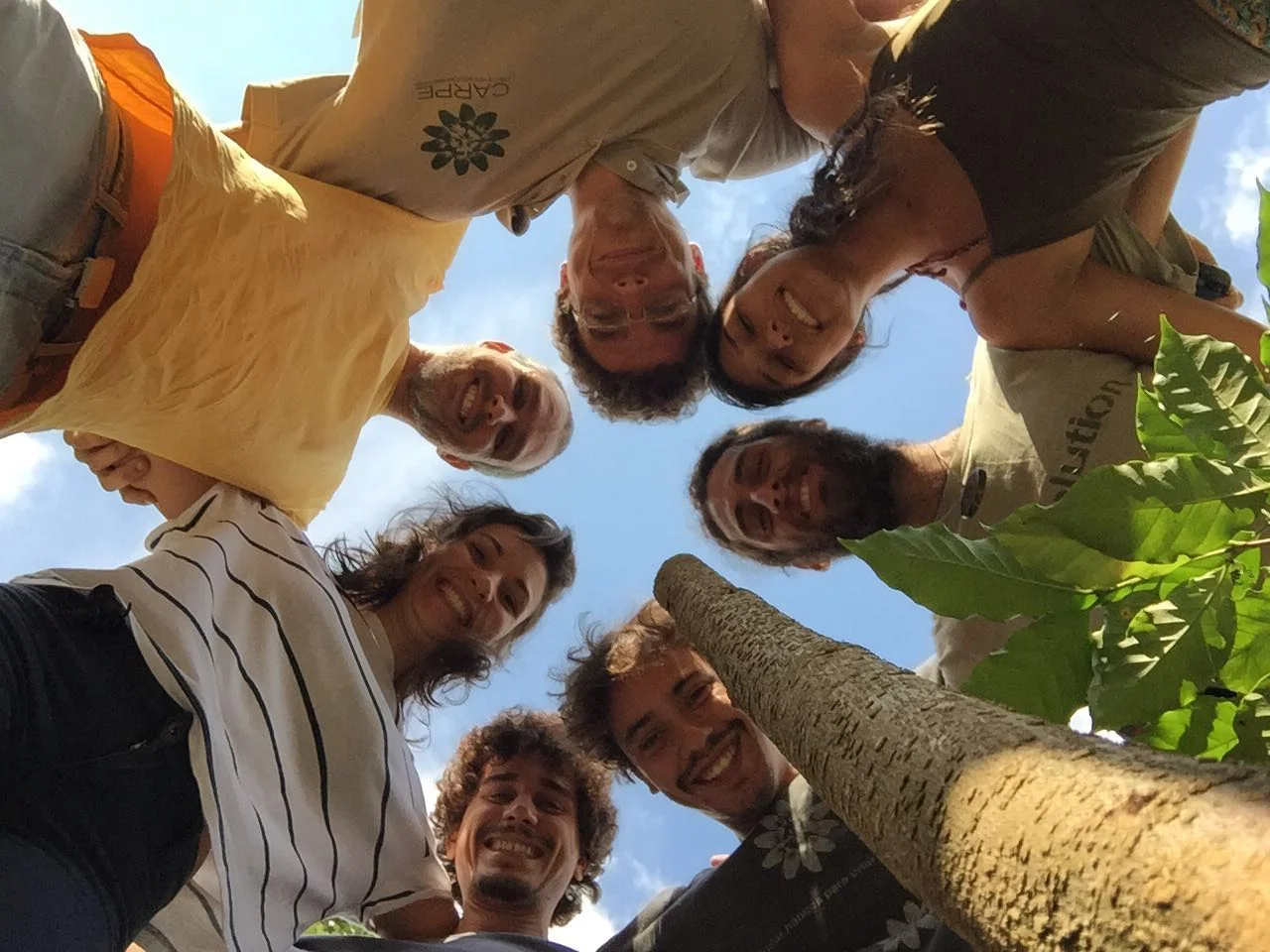 Curso de Agrofloresta
