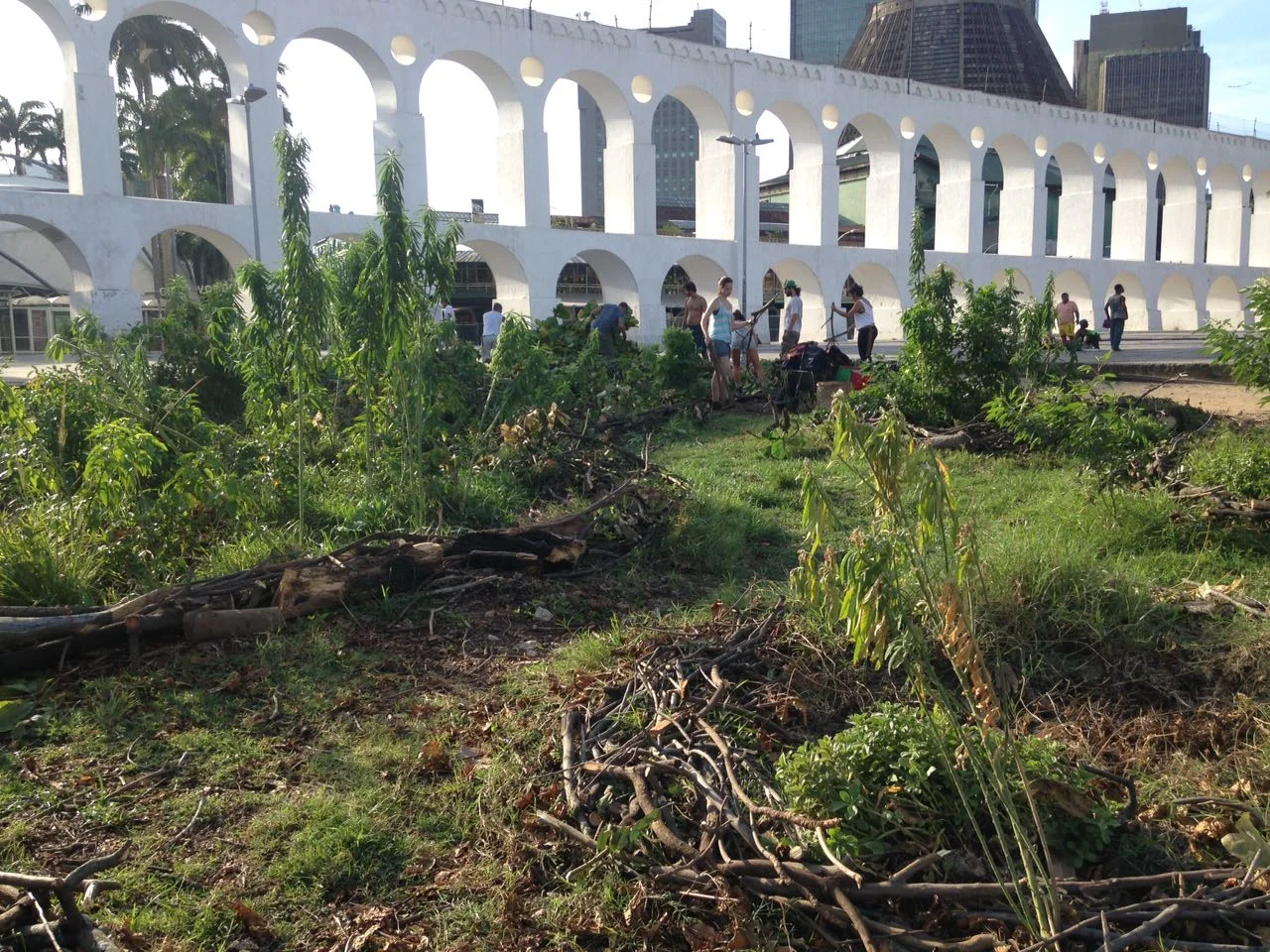 WhatsApp Image 2017-03-13 at 09.22.37.jpeg