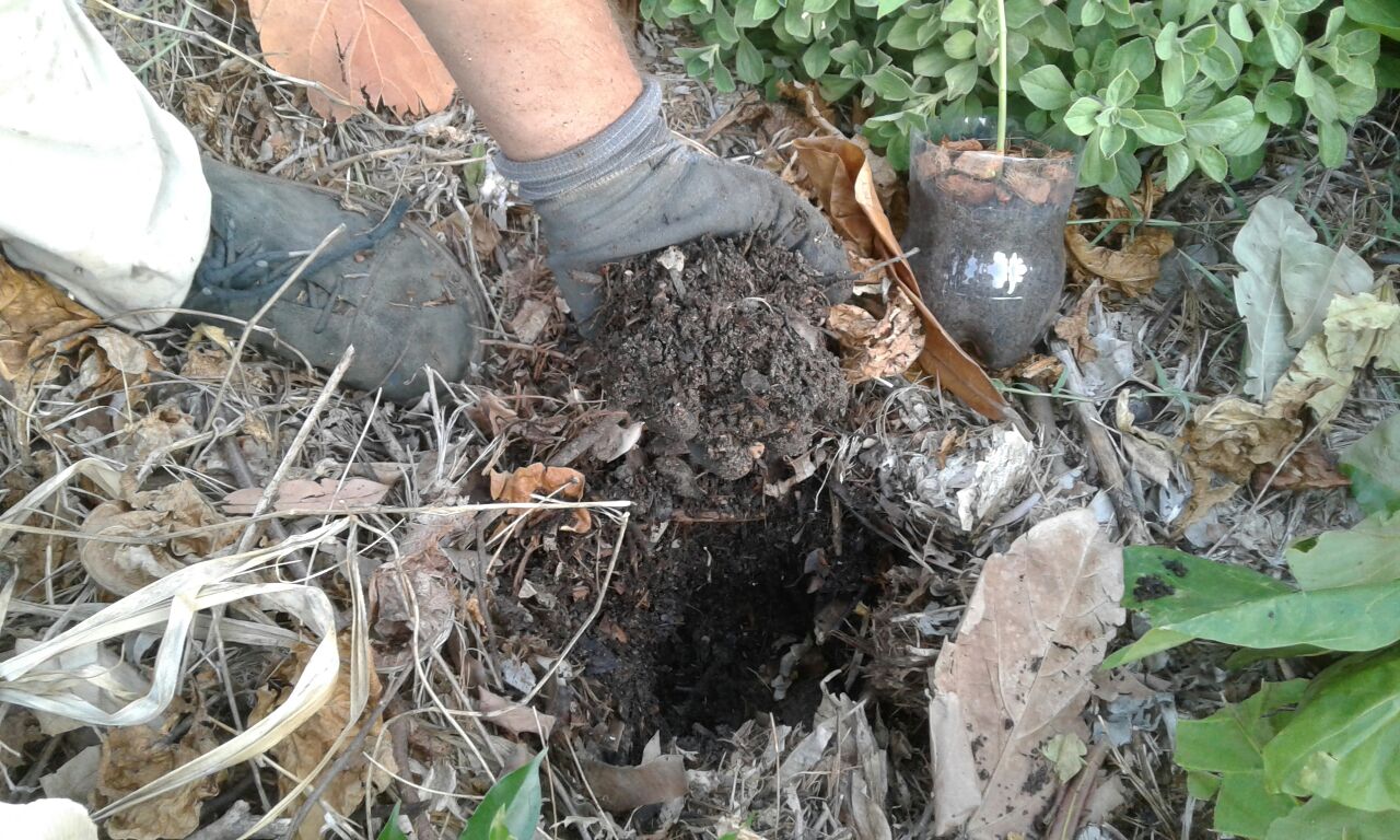 WhatsApp Image 2017-03-13 at 09.22.43.jpeg