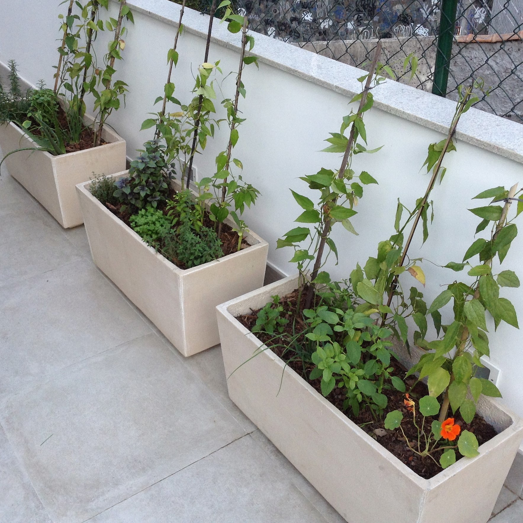 Jardineiras em um terraço