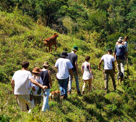 A agricultura da Paz