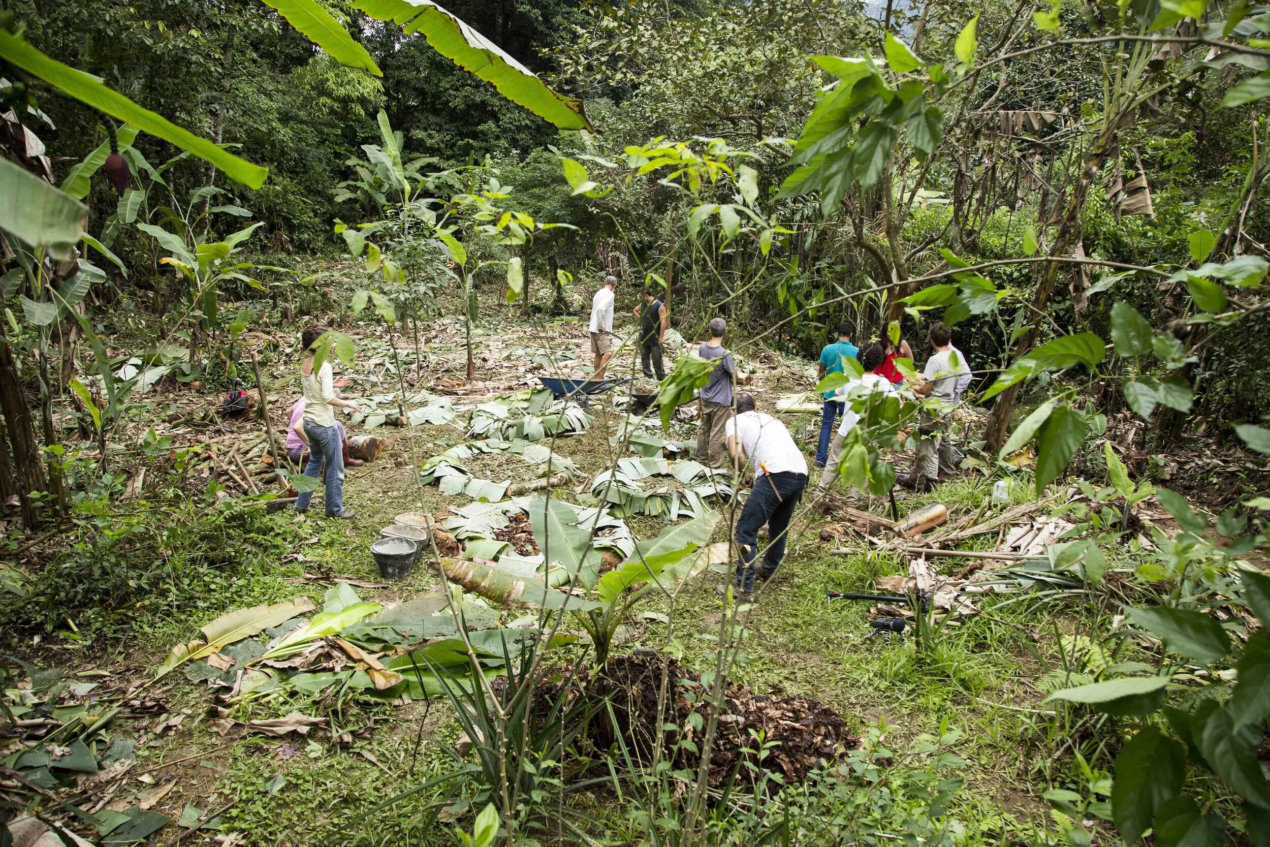 _MG_9743.jpg