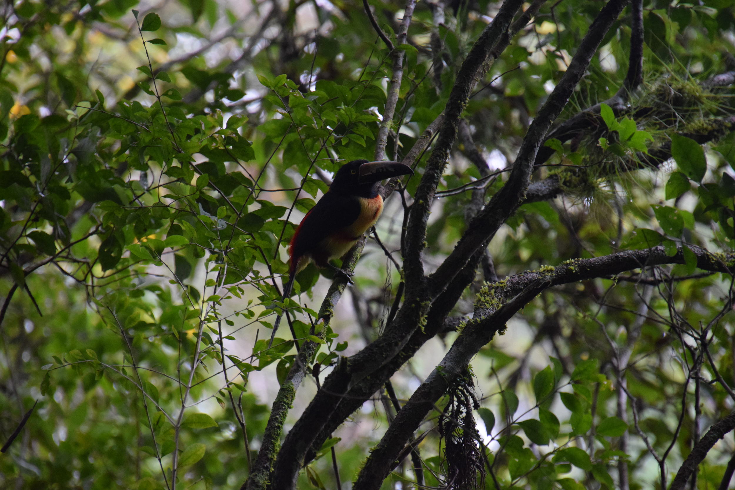 DSC_0168.JPG