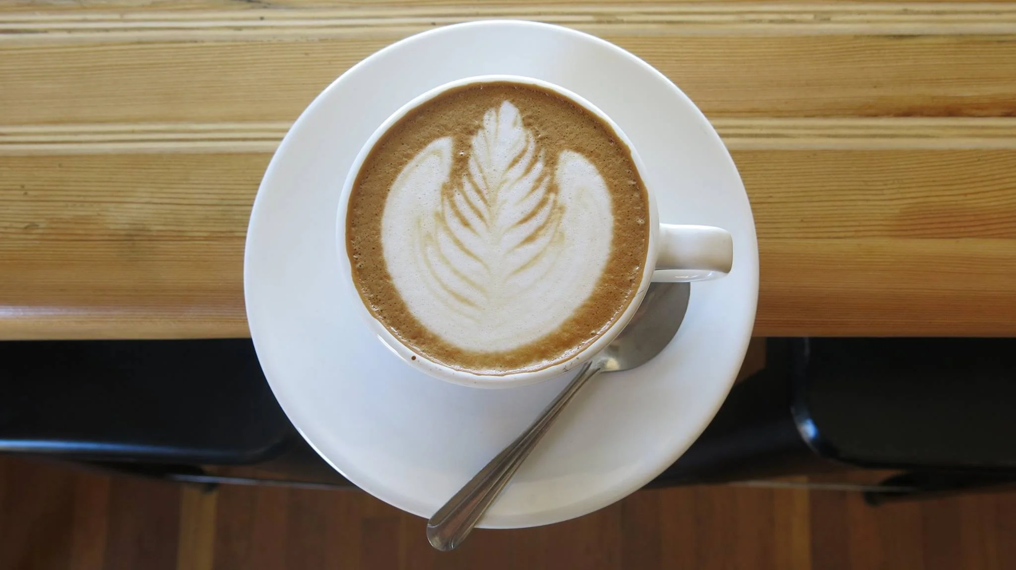 Gallery — Songbird Coffee & Tea House