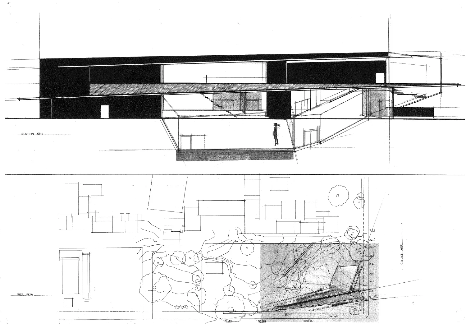Drawings Morphs Architecture-14.jpg