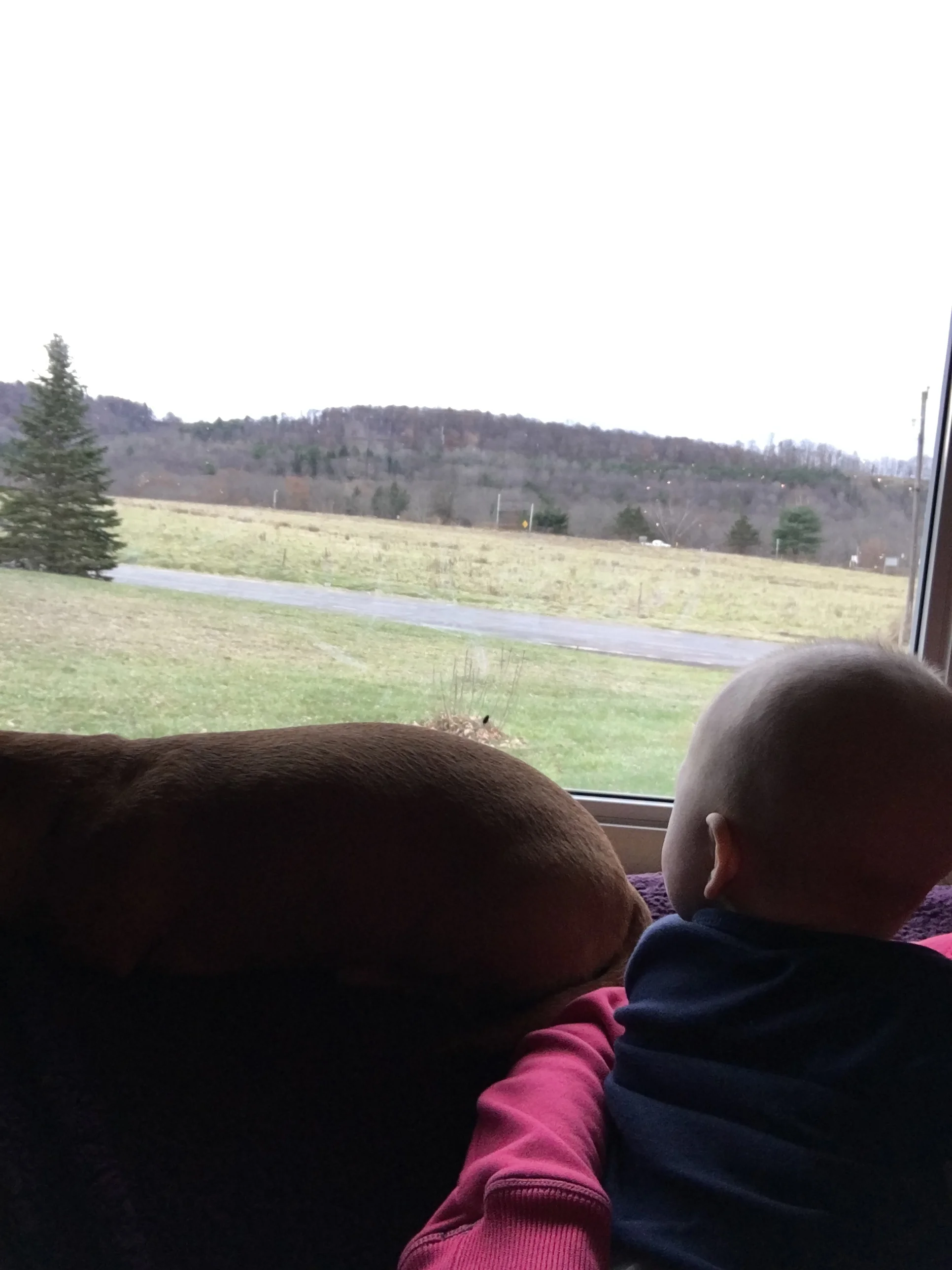 It's FARM DOG FRIDAY!