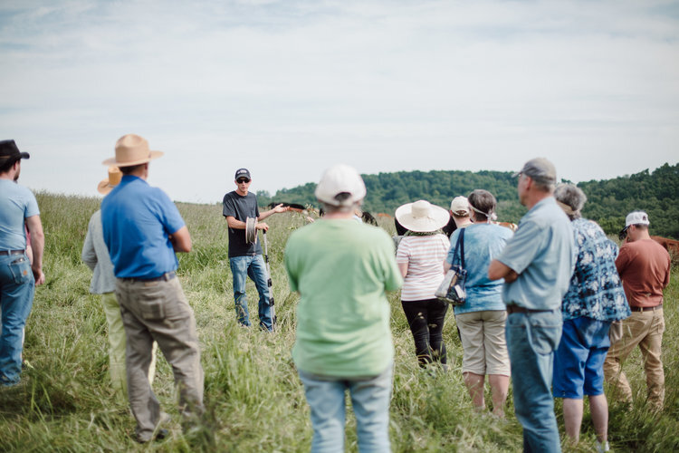 Gadabout in field.jpg