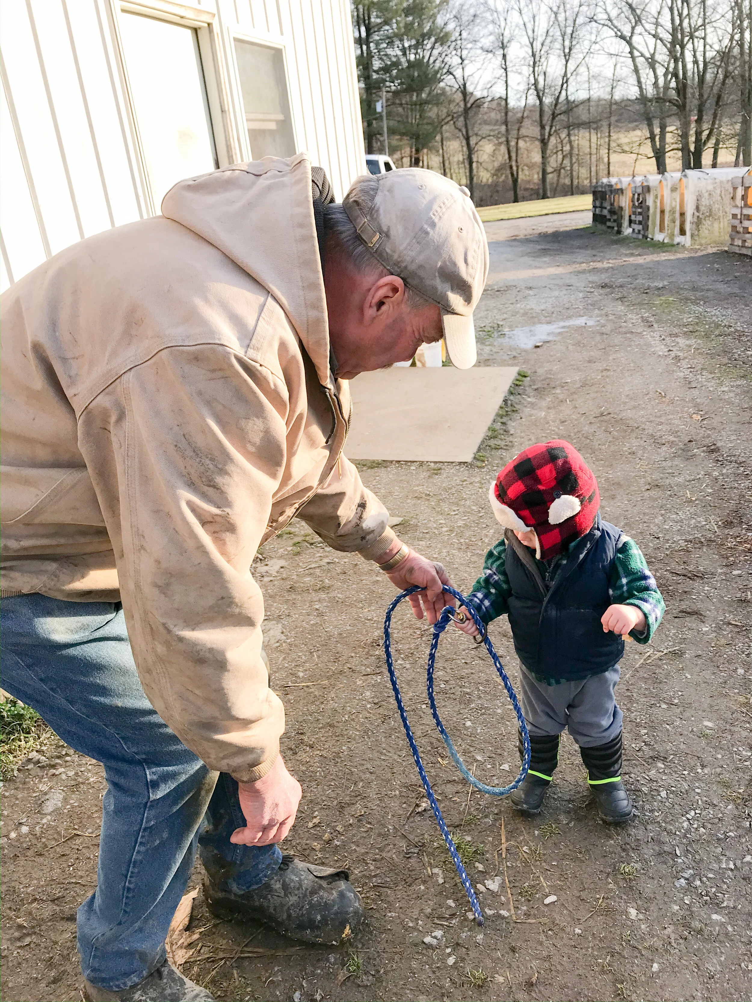 Henry's Farm Update, 2-3-20