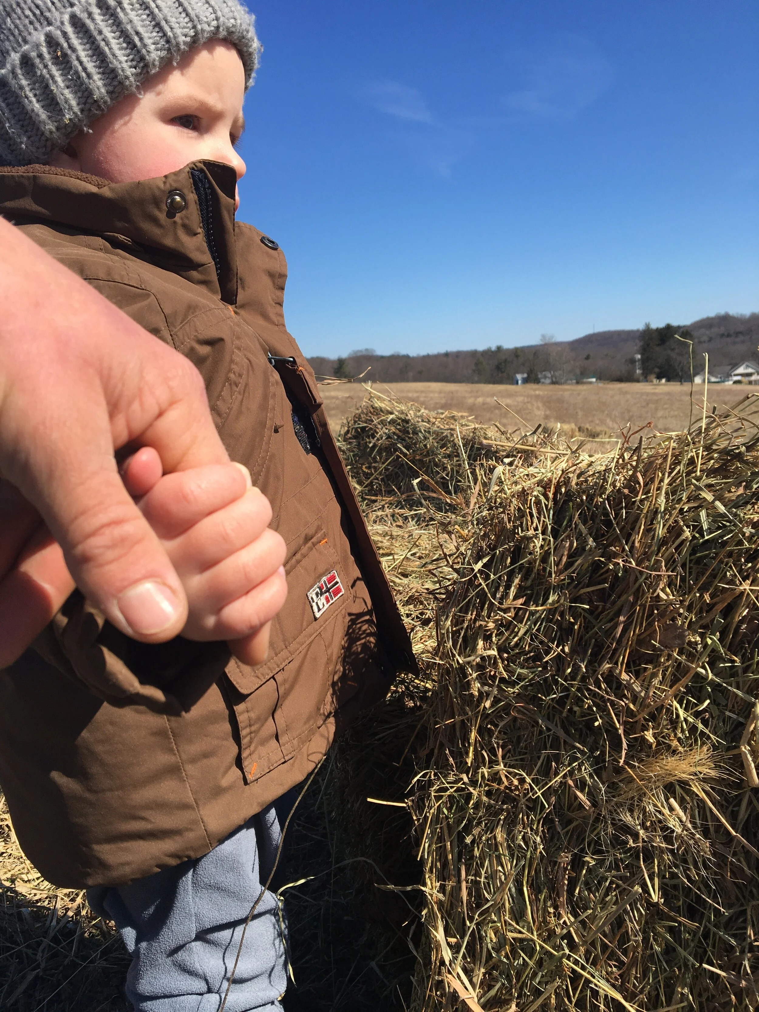 Henry's Farm Update, 3-9-20