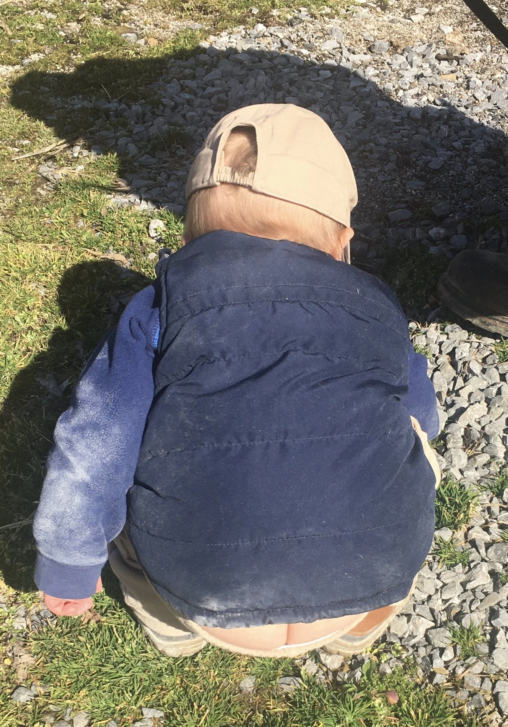 Henry's Farm Update, 3-16-20